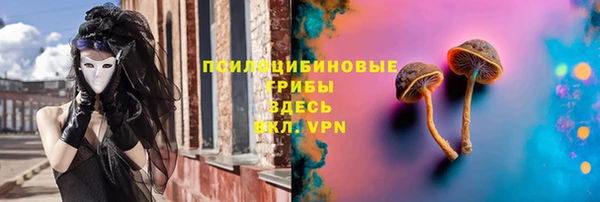 ECSTASY Киреевск